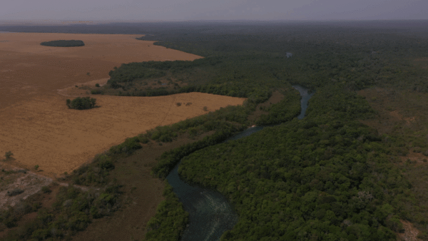 Produtores mantêm áreas preservadas mesmo após fim de pagamentos de projeto conservação