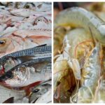 Quais estados brasileiros mais produzem peixes e camarões?