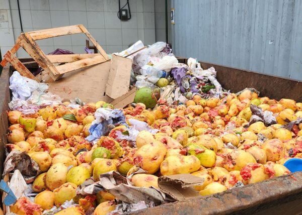 frutas impróprias para consumo