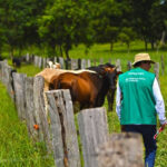 sistema s, assistência técnica e gerencial do senar