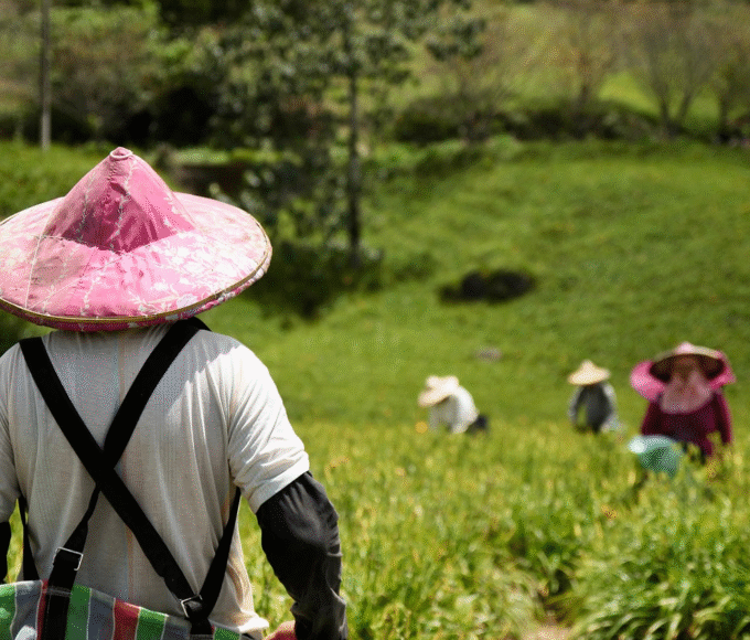 Agricultura e construção puxam queda na taxa de desemprego