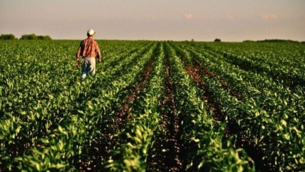 Agricultura tropical pode ser chave para o futuro climático e alimentar