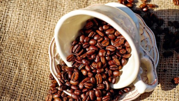 Brasil tem dois planos para isentar café do tarifaço imposto pelos EUA