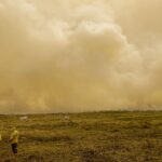 Calor e incêndios florestais causam cerca de 546 mil mortes ao ano, alerta relatório