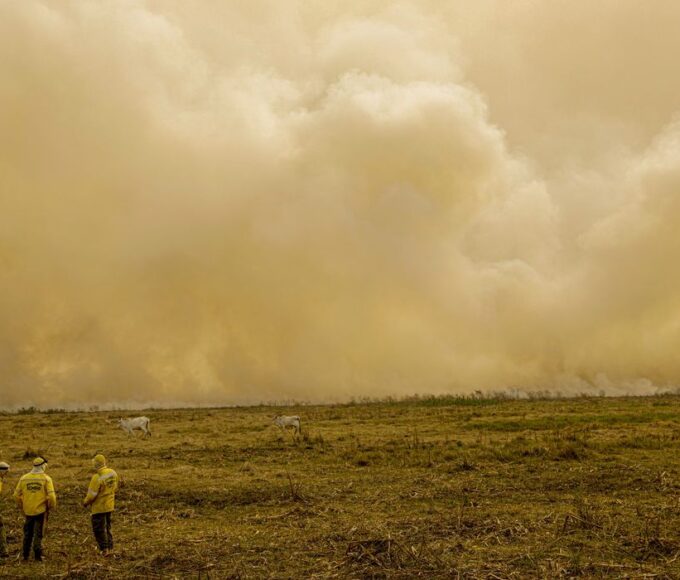 Calor e incêndios florestais causam cerca de 546 mil mortes ao ano, alerta relatório
