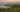 Cerrado, Pantanal e Amazônia enfrentam incêndios mais intensos, aponta MapBiomas