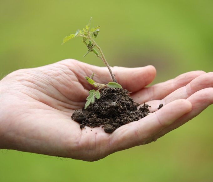 Entidades defendem protagonismo do agro na mitigação climática e pedem revisão do Plano Clima