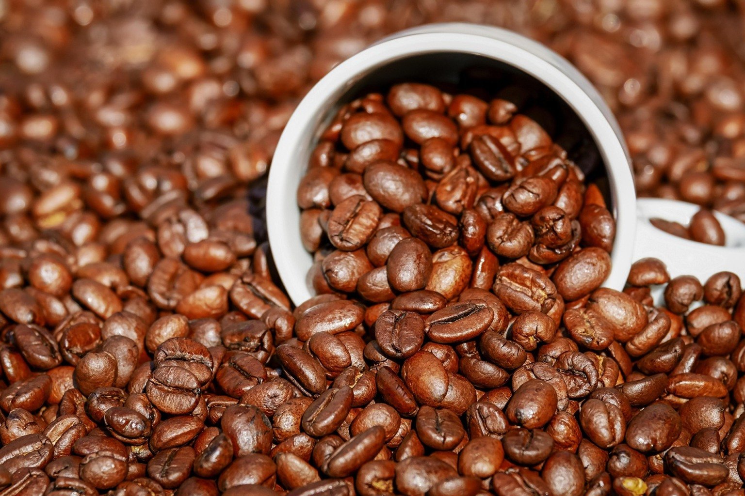 Exportações de café caem 18% em setembro com tarifaço dos EUA