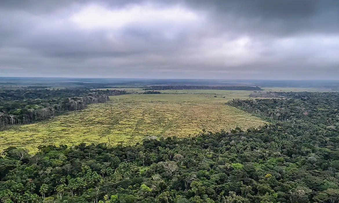 Pará reduz desmatamento em 47% e atinge menor nível em oito anos
