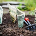 dinheiro, EUA, Estados Unidos, dólar - bancos - taxa do agro