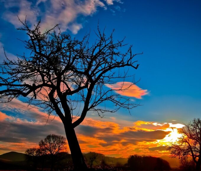 Plano Clima busca reposicionar Brasil como liderança climática global