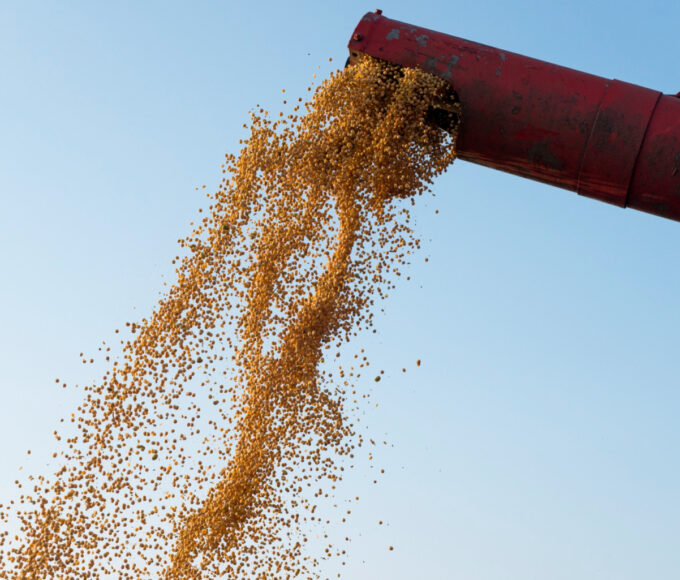 Preço das commodities deve atingir o menor patamar em seis anos