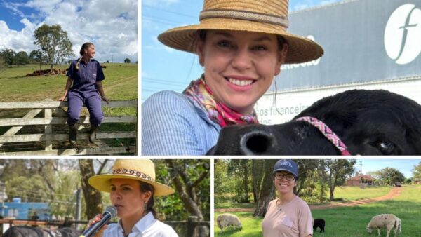 veterinárias impulsionam pecuária no Rio Grande do Sul