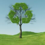 Belém será centro de negociações sobre clima e transição energética