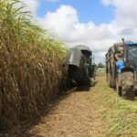 Cetesb e Unica firmam cooperação para modernizar gestão ambiental e uso de resíduos