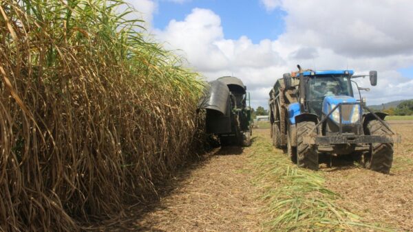 Cetesb e Unica firmam cooperação para modernizar gestão ambiental e uso de resíduos