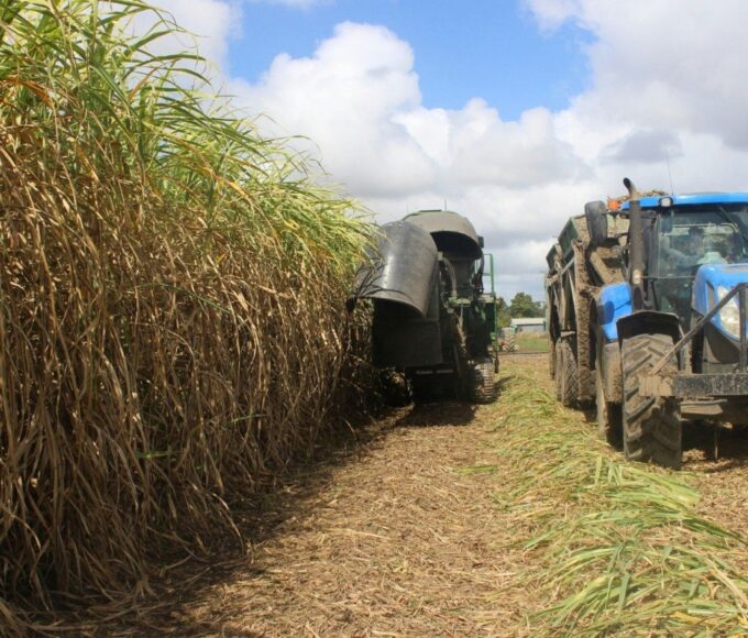 Cetesb e Unica firmam cooperação para modernizar gestão ambiental e uso de resíduos