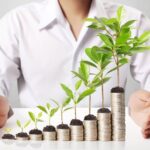 Mais da metade dos empresários considera bioeconomia importante, diz pesquisa