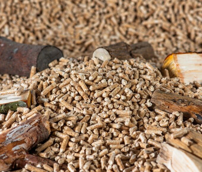 Pesquisa busca transformar resíduos de café em combustível renovável