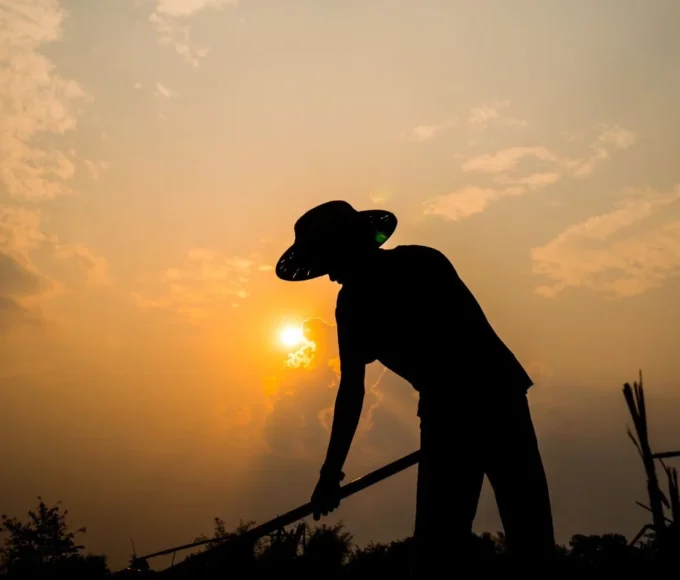 Renda na agropecuária sobe 6,5% no trimestre, aponta IBGE