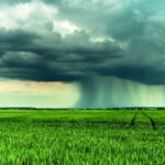 Seguro rural brasileiro deveria seguir modelos de Espanha e EUA, diz FGV Agro