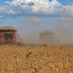 CNA revisa estimativa do PIB Agro em 2025 para alta de 8% a 8,5%