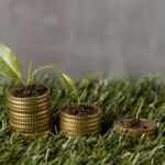 Fiagros, investimento, dinheiro, agro