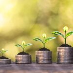 Concessão de crédito rural cai 16% no 1º semestre e atinge R$ 83 bilhões