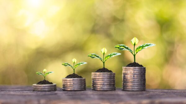 Concessão de crédito rural cai 16% no 1º semestre e atinge R$ 83 bilhões