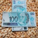 mercado-da-soja-dinheiro-um