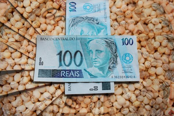 mercado-da-soja-dinheiro-um