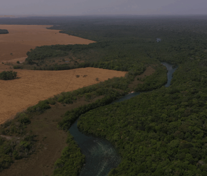 Derrubada de vetos traz licenciamento ambiental para século 21, diz Faesp