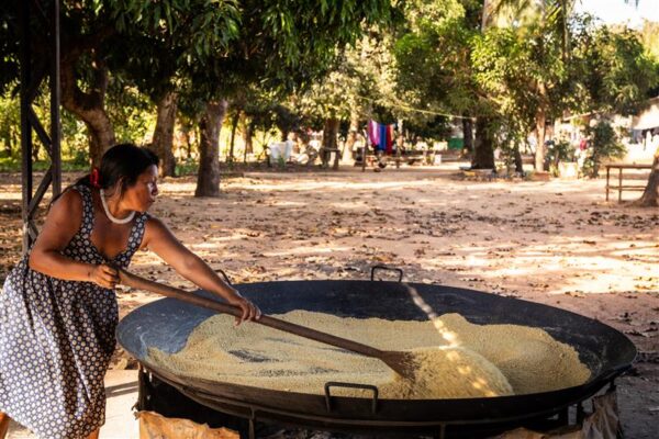 produçao na floresta amazônica