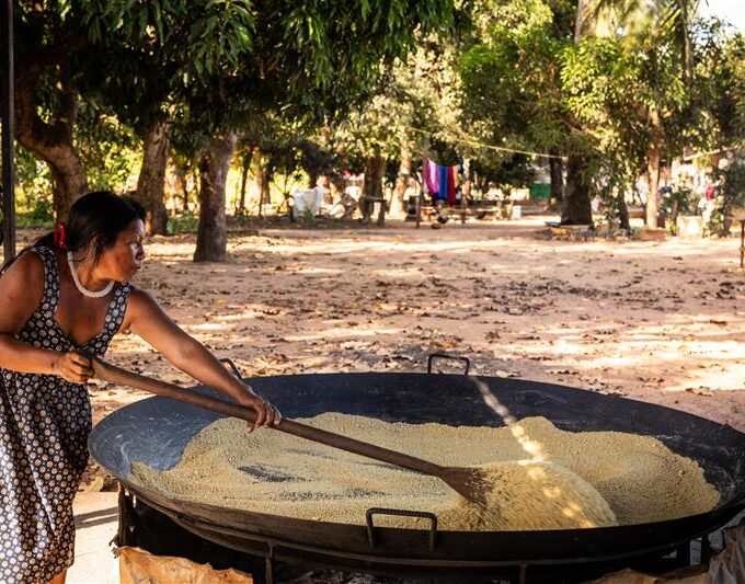 produçao na floresta amazônica