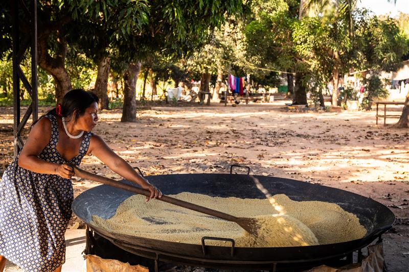 produçao na floresta amazônica