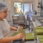 Versatilidade da erva-mate ganha espaço na indústria do Rio Grande do Sul