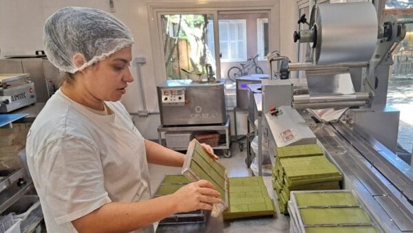 Versatilidade da erva-mate ganha espaço na indústria do Rio Grande do Sul