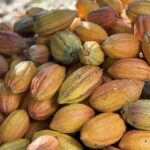 Mercado global de cacau deve ter superávit em 2025/26, aponta análise