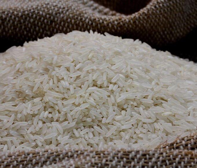 Indústria lança primeiro arroz rastreado com tecnologia da Embrapa