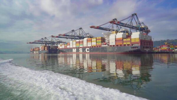 TCU retoma julgamento sobre modelo de concessão do Tecon 10, megaterminal do Porto de Santos