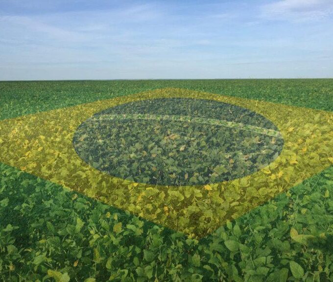 lavoura com bandeira do brasil agricultura