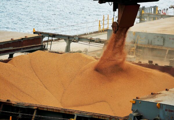 soja, porto, exportação, embarque, exportações, grãos