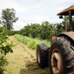 Agro de São Paulo fecha 2025 com superávit de US$ 23 bilhões