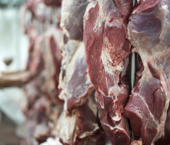 carne bovina em geladeiras