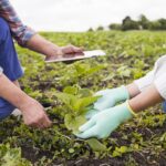 Trabalho, agro, mercado de trabalho, agricultura, tecnologia, gestão