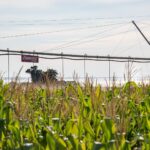 pivô de irrigação