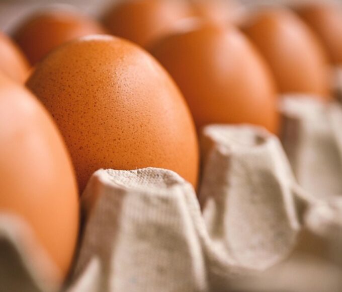 Exportações de ovos crescem 39,7% em setembro e acumulam mais de 34 mil toneladas no ano, diz ABPA. Foto: Pixabay.