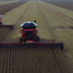 Agro dispara e puxa crescimento da economia brasileira em 2025, segundo dados do Banco Central