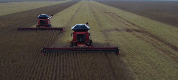 Agro dispara e puxa crescimento da economia brasileira em 2025, segundo dados do Banco Central