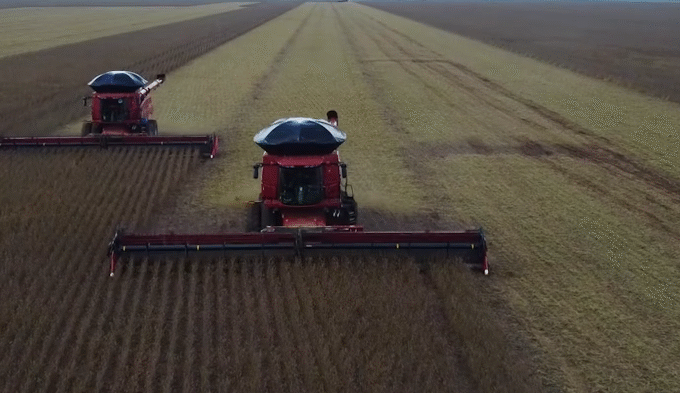 Agro dispara e puxa crescimento da economia brasileira em 2025, segundo dados do Banco Central
